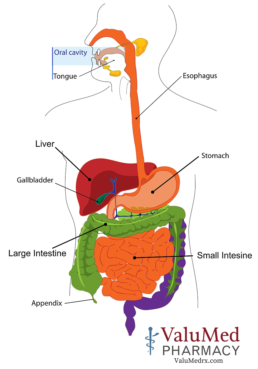 GERD or Gastroesophageal Reflux Disease - ValuMed Pharmacy